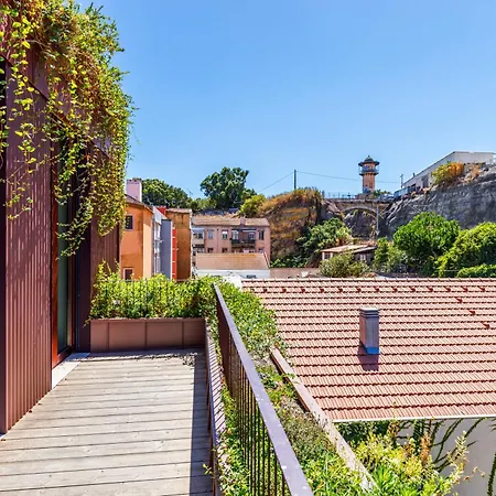 Apartman Jungle Lofts